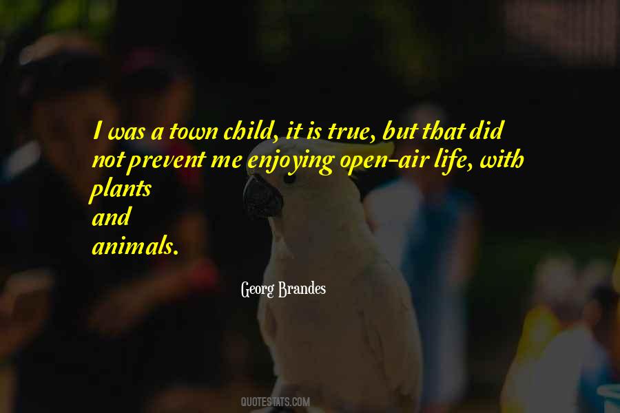 Quotes About Open Air #1210672