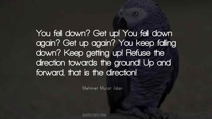 Quotes About Falling Down And Getting Up #1673053