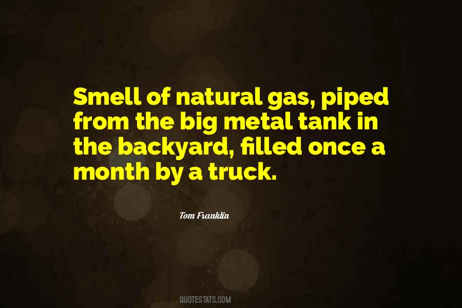 Quotes About Natural Gas #888683