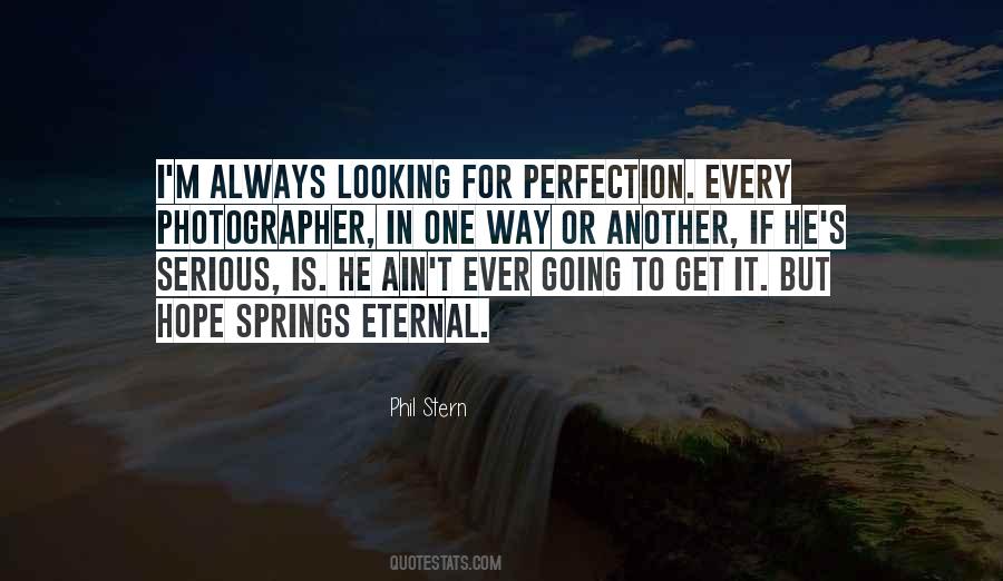 Looking For Perfection Quotes #1059845