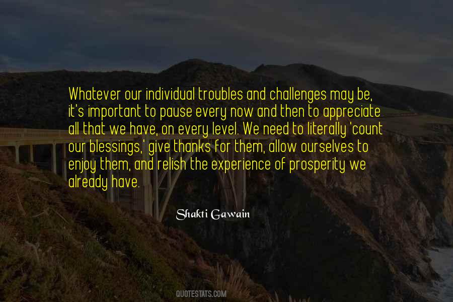 Count Your Blessings Not Your Troubles Quotes #1162507