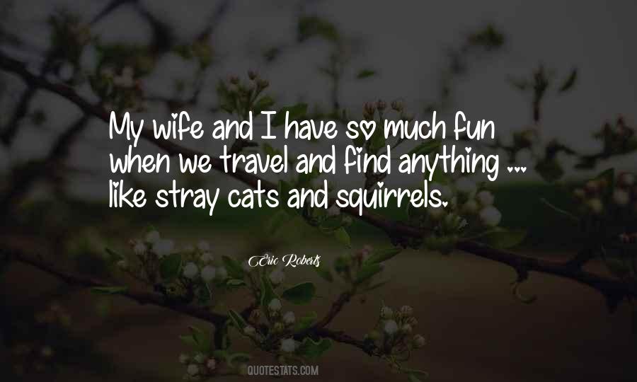 Quotes About Stray Cats #327122