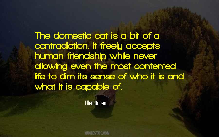 Quotes About Self Contented #184685
