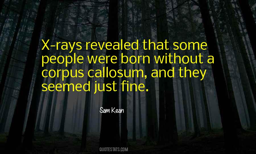 Karma Kurry Quotes #1866958