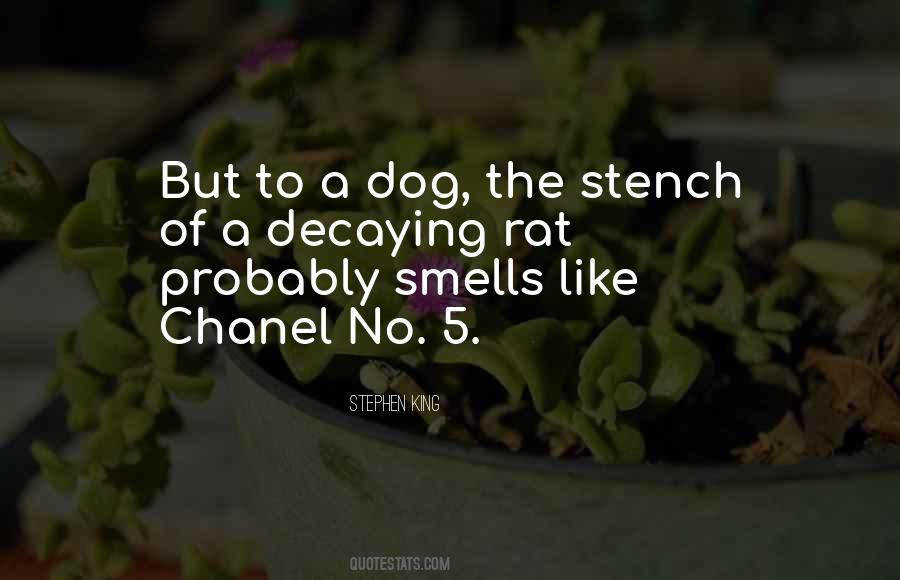 Quotes About Stench #1348848