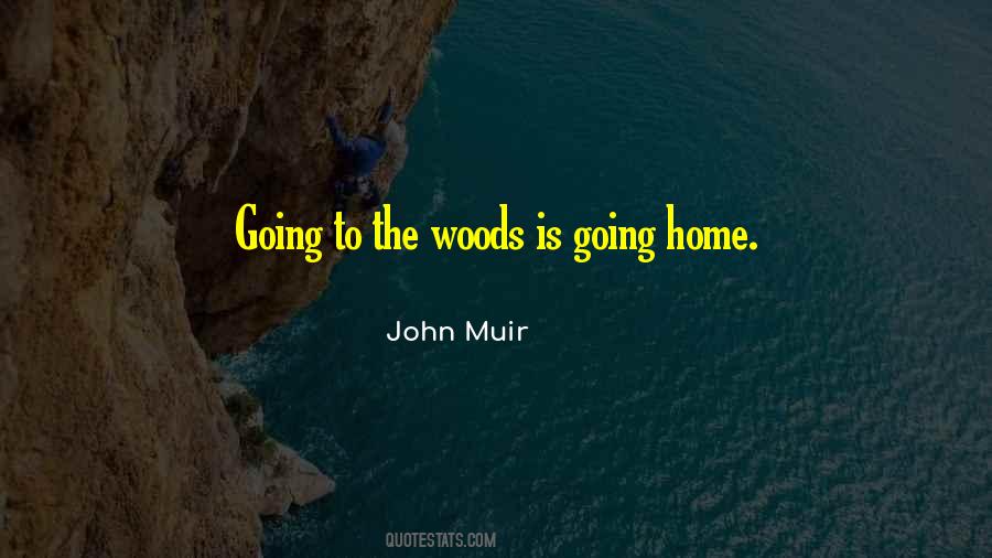 Quotes About Going Home #300047