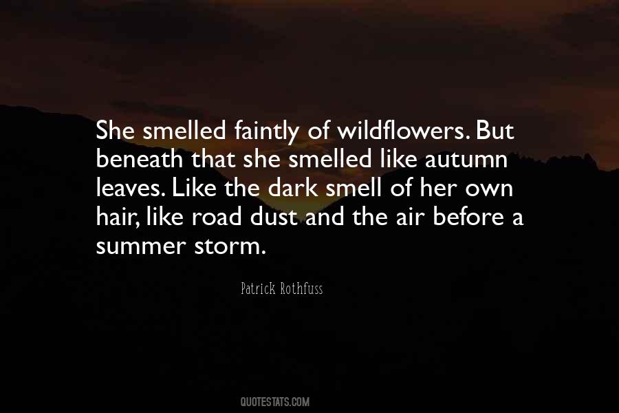 Dark Summer Quotes #1294967