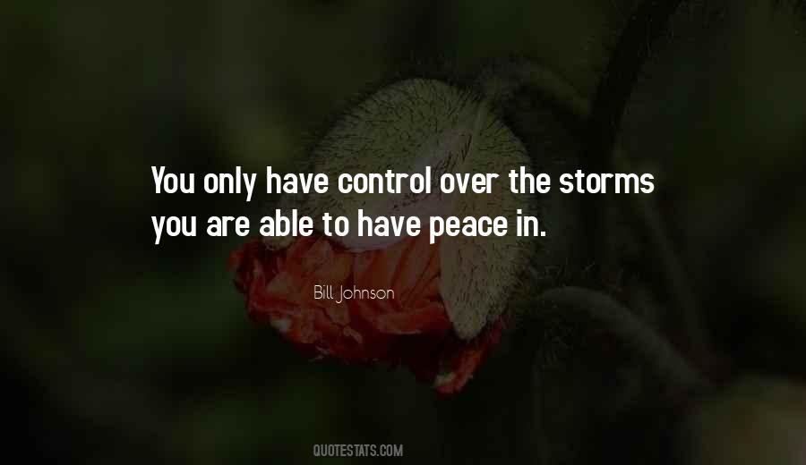 Quotes About Peace In The Storm #1149730