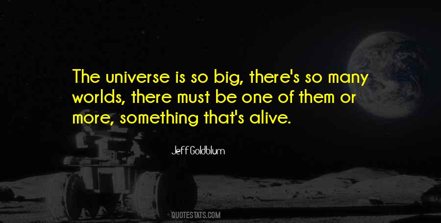 Quotes About The Universe #1163588