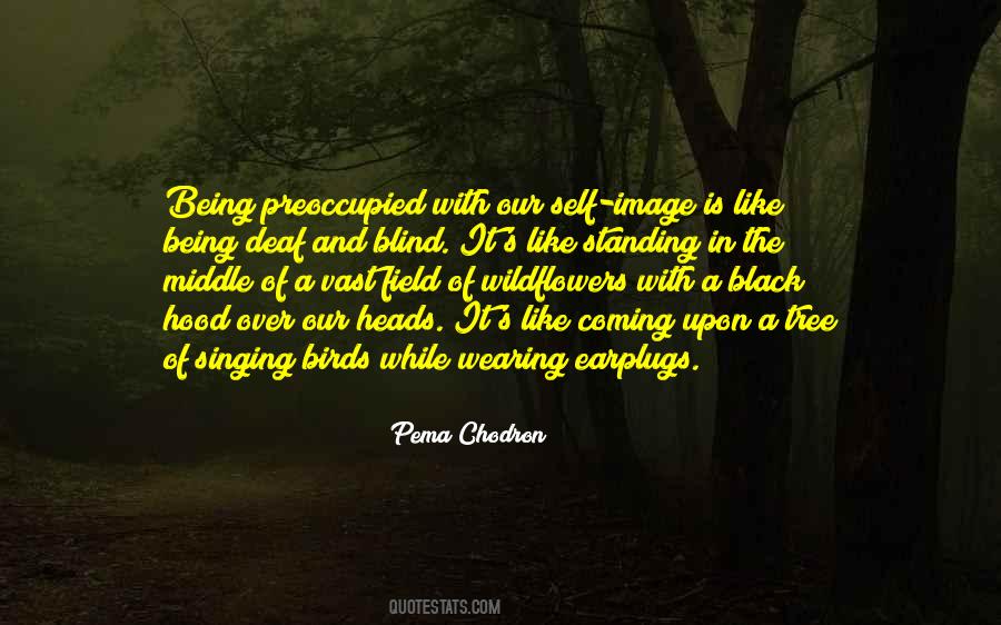 Quotes About Singing Birds #1104002