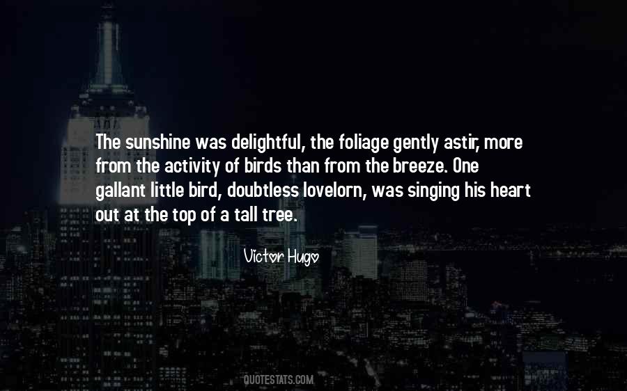 Quotes About Singing Birds #681377