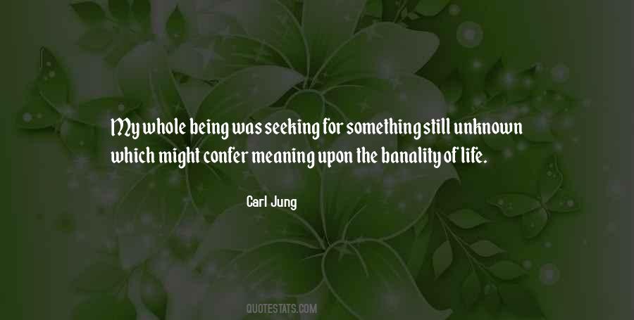Seeking Meaning Quotes #1647391