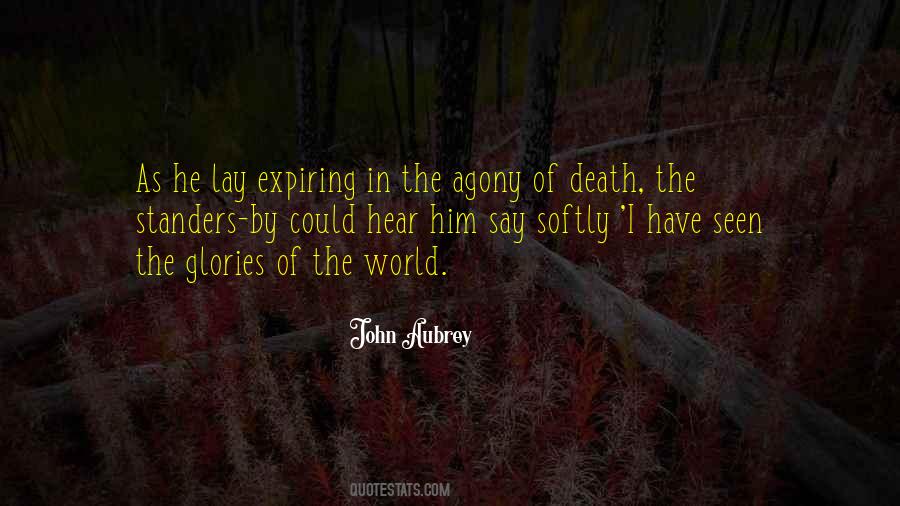 Beauty Of Death Quotes #195077