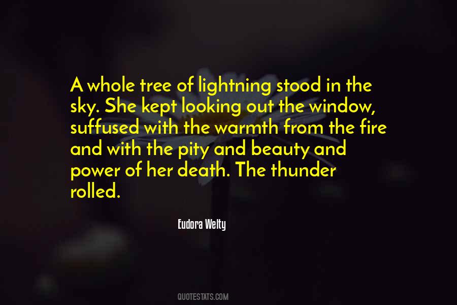 Beauty Of Death Quotes #737331