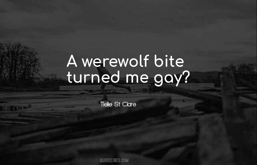 Gay Erotica Quotes #1526826