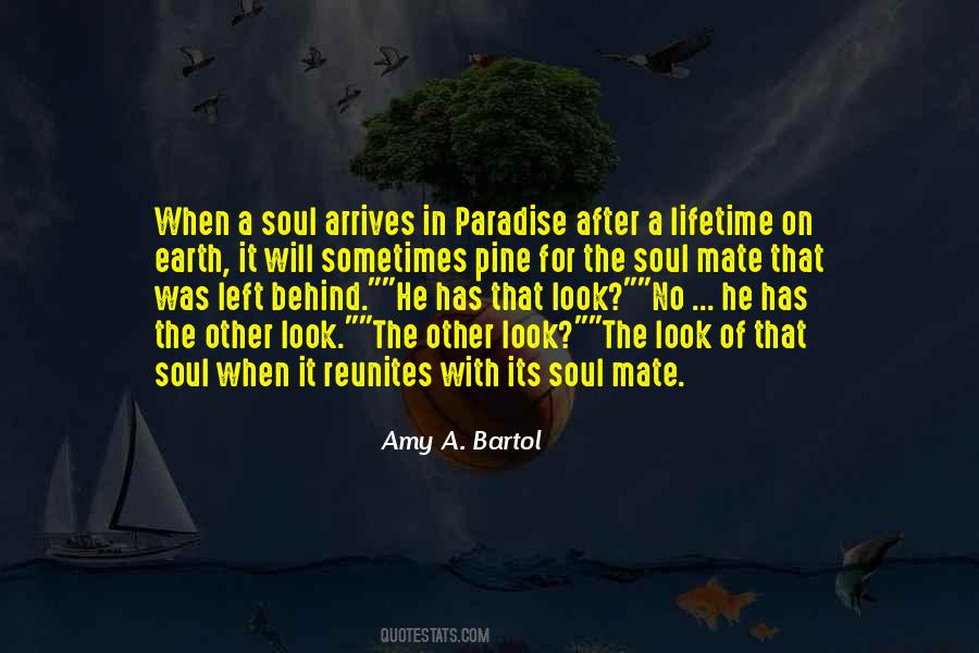 A Soul Mate Quotes #643038