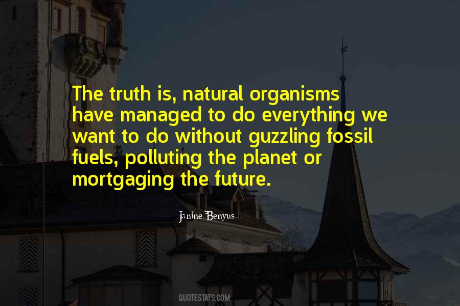 Quotes About Polluting #1153061