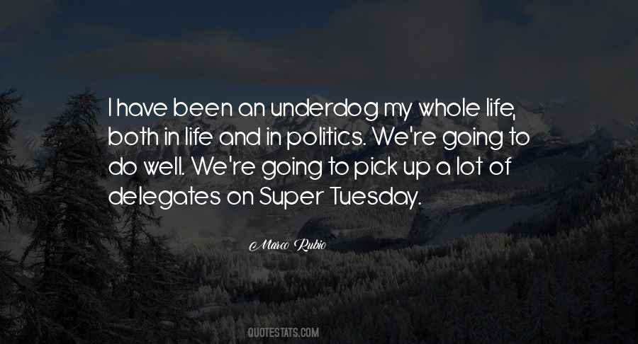 Quotes About Politics In Life #529688