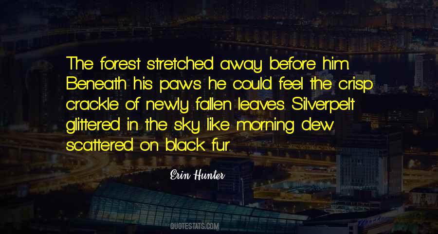 Quotes About Fallen Leaves #1213254 Quotes About Fallen Leaves #1213254