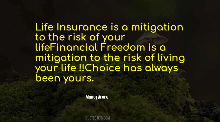 Quotes About Financial Risk #1281940