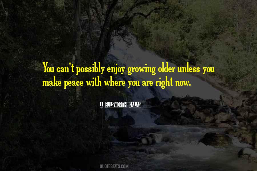 Enjoy Peace Quotes #461942