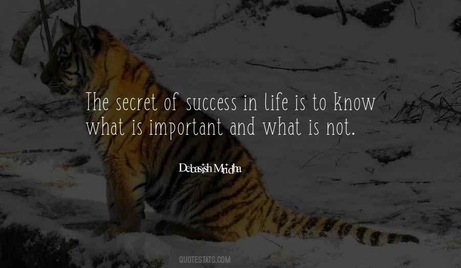 Quotes About Success In Life #1117936