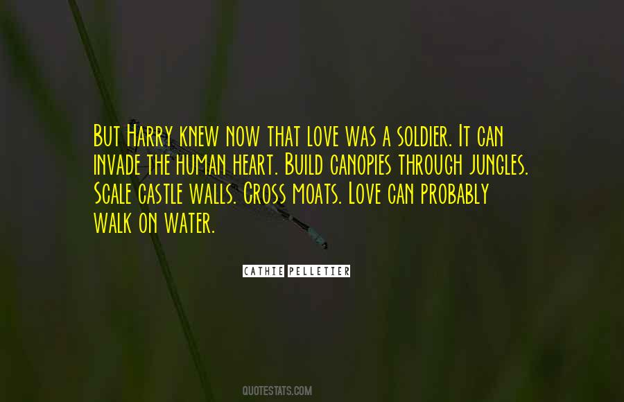 Quotes About Castle Walls #1040409