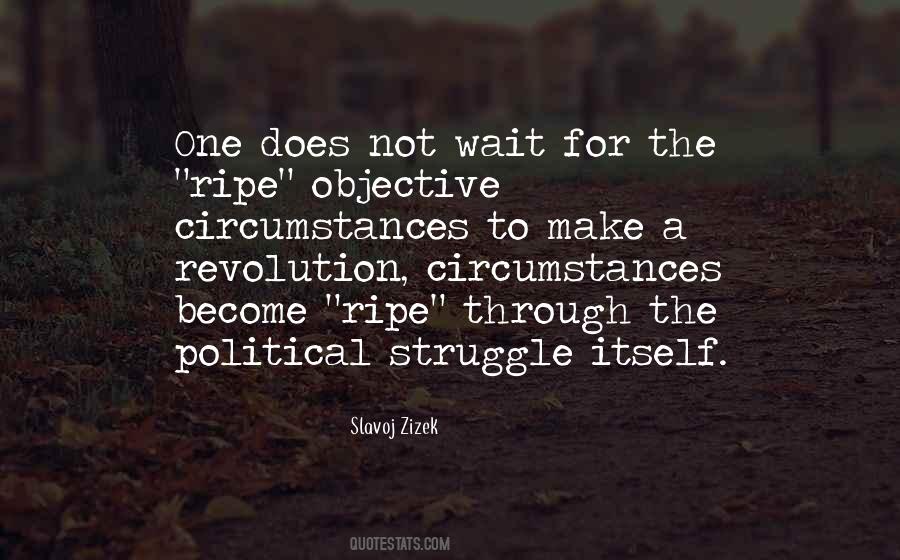 Quotes About Political Revolution #1217730