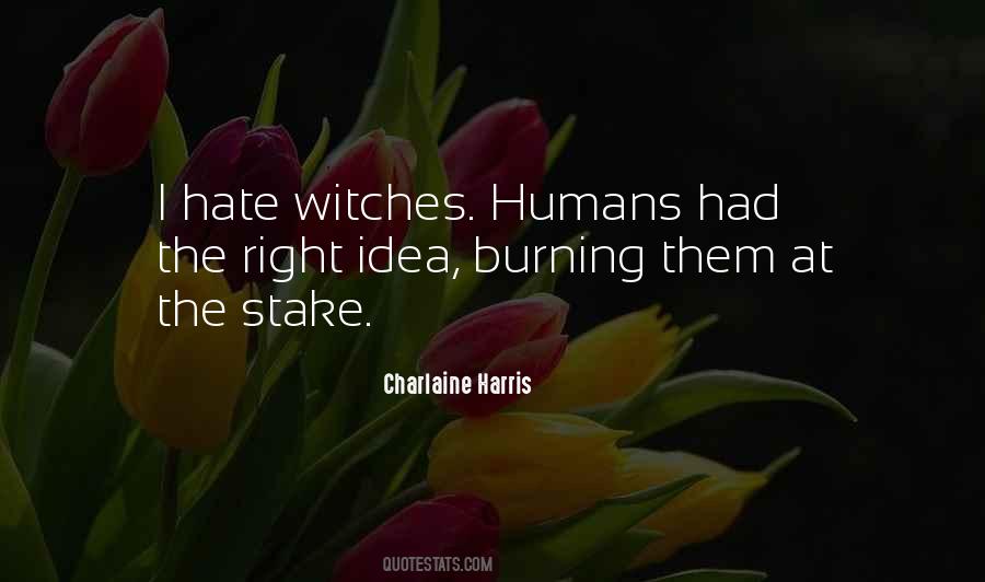 Quotes About Burning Witches #1361948