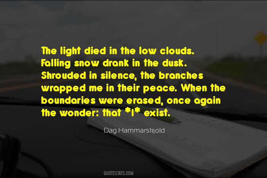 Falling Snow Quotes #1062533