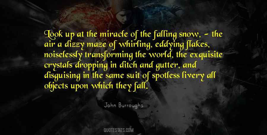 Falling Snow Quotes #1455133