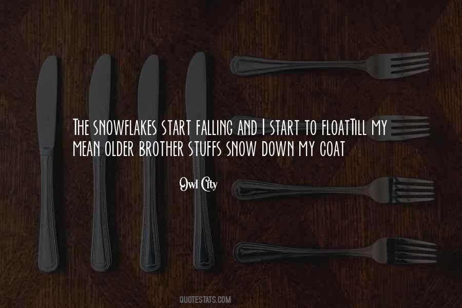 Falling Snow Quotes #1766876
