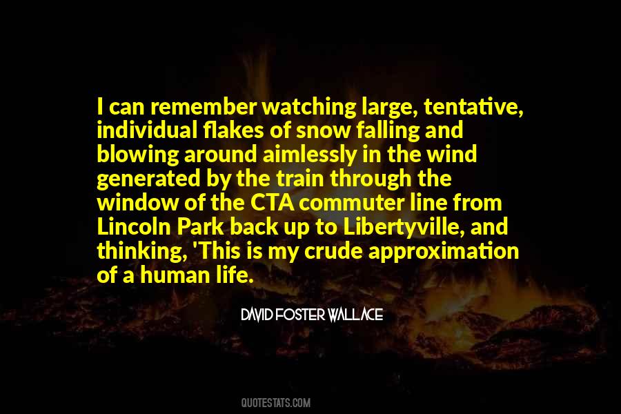 Falling Snow Quotes #322959