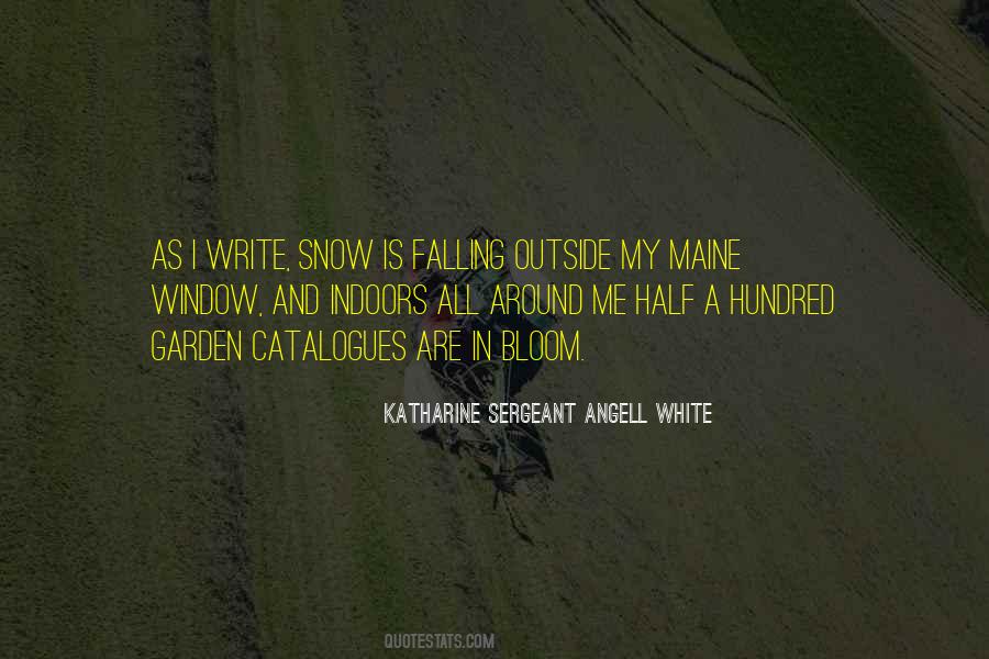 Falling Snow Quotes #330245