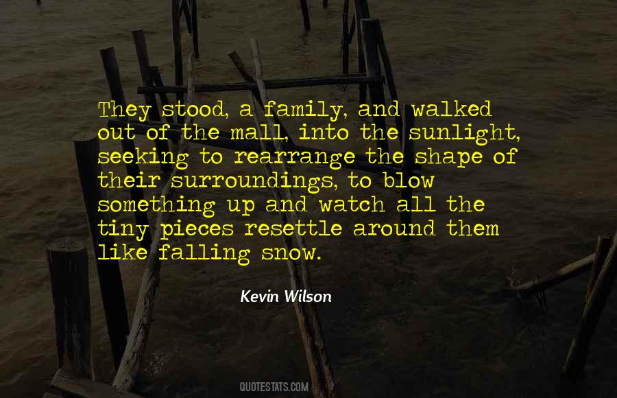 Falling Snow Quotes #407353