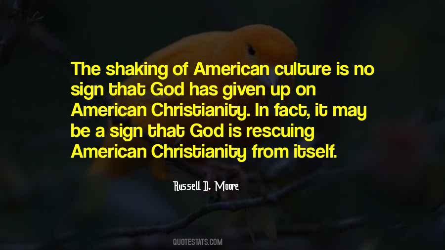 Christianity Culture Quotes #65908