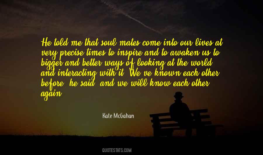 Soulmate Soul Mate Quotes #1235100