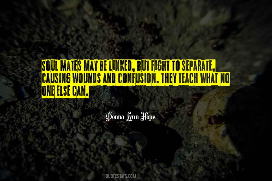 Soulmate Soul Mate Quotes #184044
