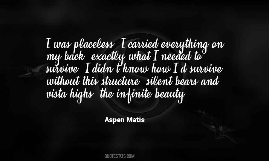 Quotes About Infinite Beauty #1816527