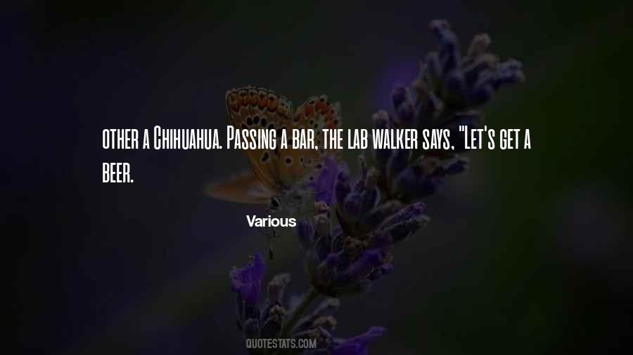 Zinoleesky Quotes #497874
