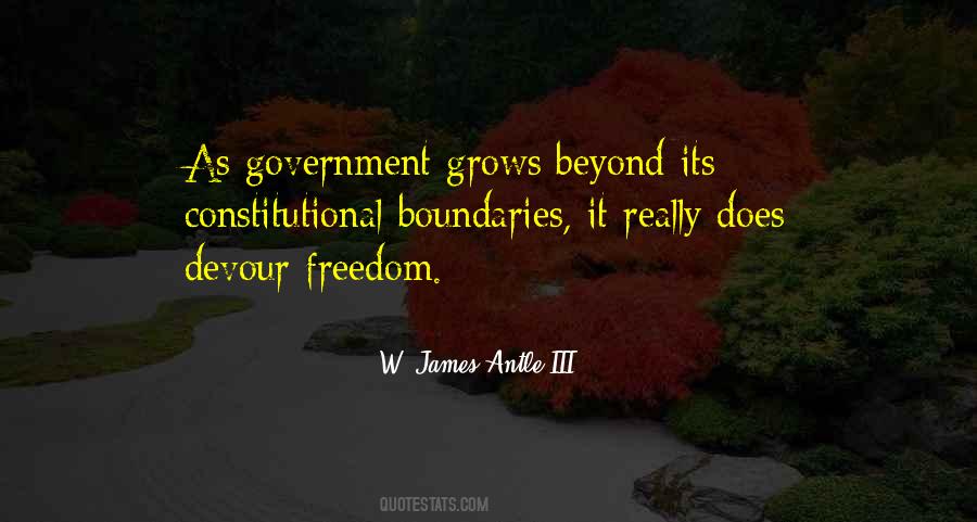 Quotes About Constitutional Government #959428