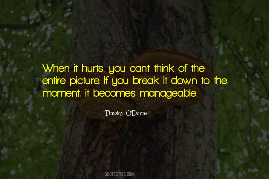 Break It Down Quotes #1633577