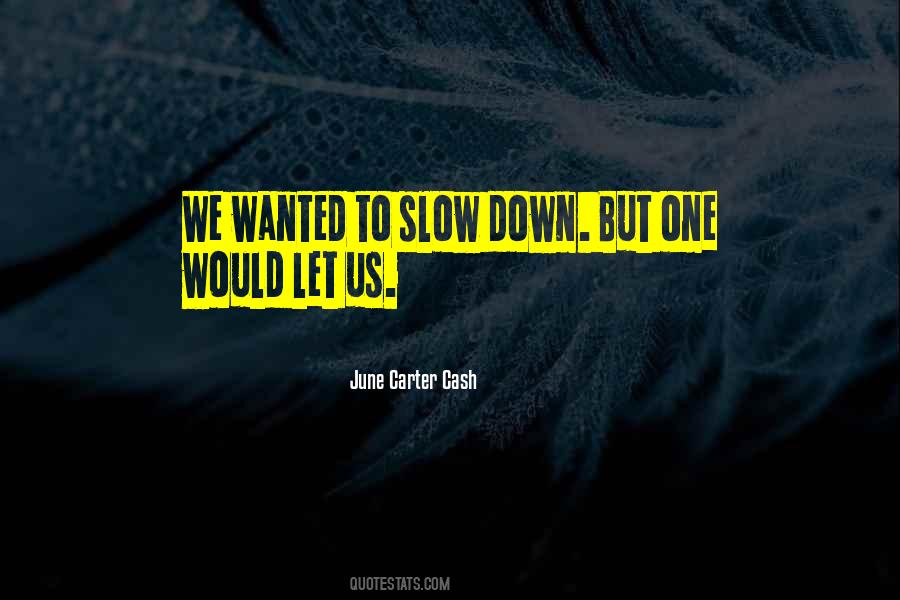 Quotes About Slow Down #227219