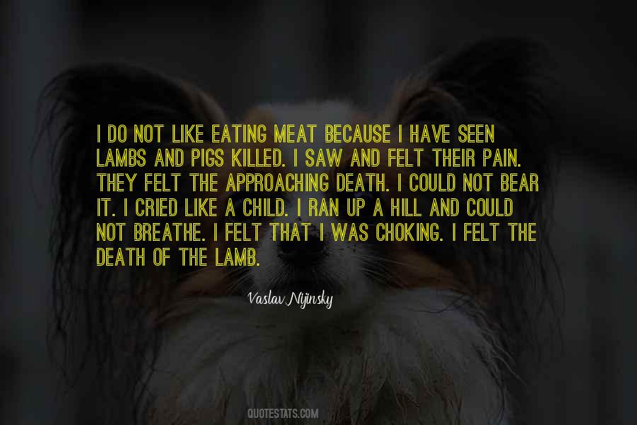 Quotes About Lambs #151010