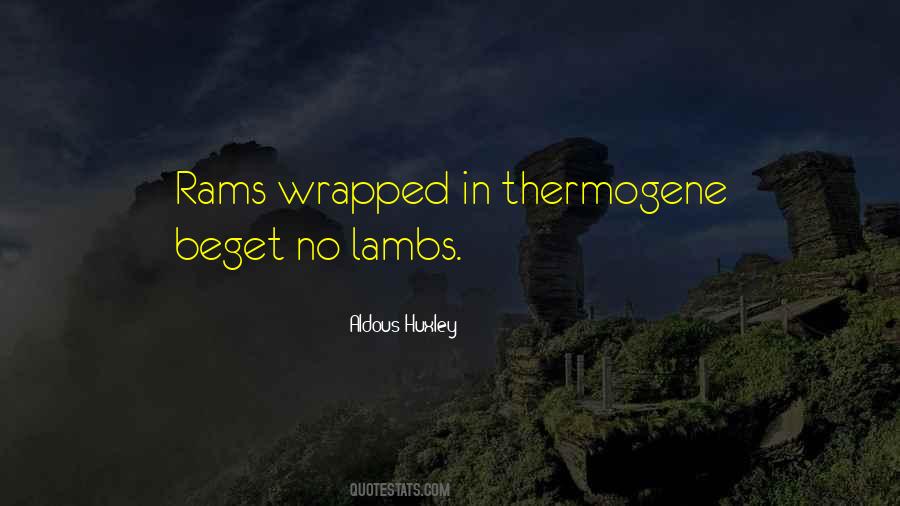 Quotes About Lambs #766308