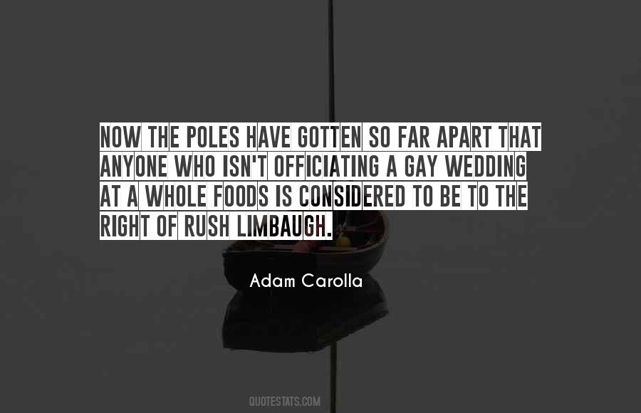 Quotes About Poles #780905