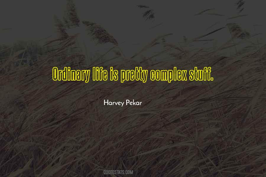 Quotes About Ordinary Life #1070449