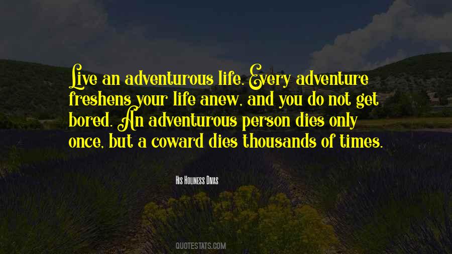 Quotes About An Adventurous Life #210815
