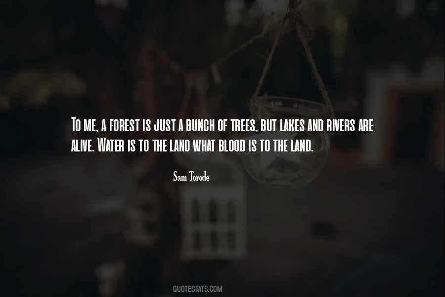 Quotes About Blood And Water #140488