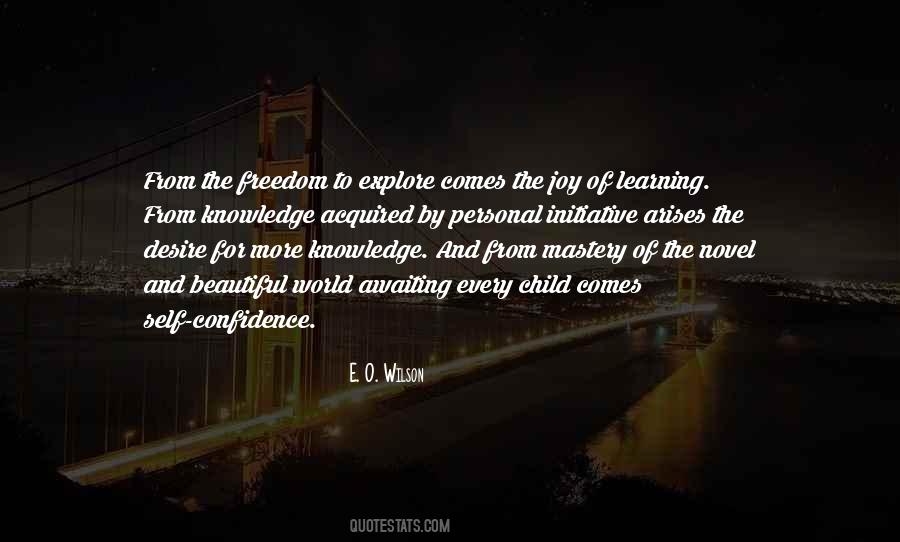 Quotes About Wittiness #1246828